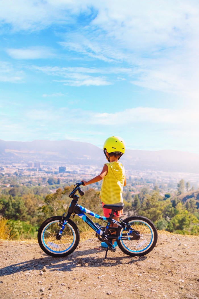 Child with bike looking out on city