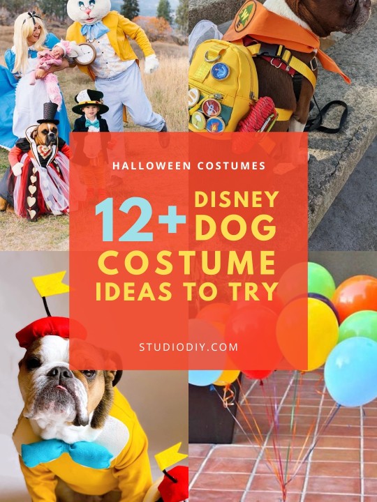 Disney Dog Costume Ideas