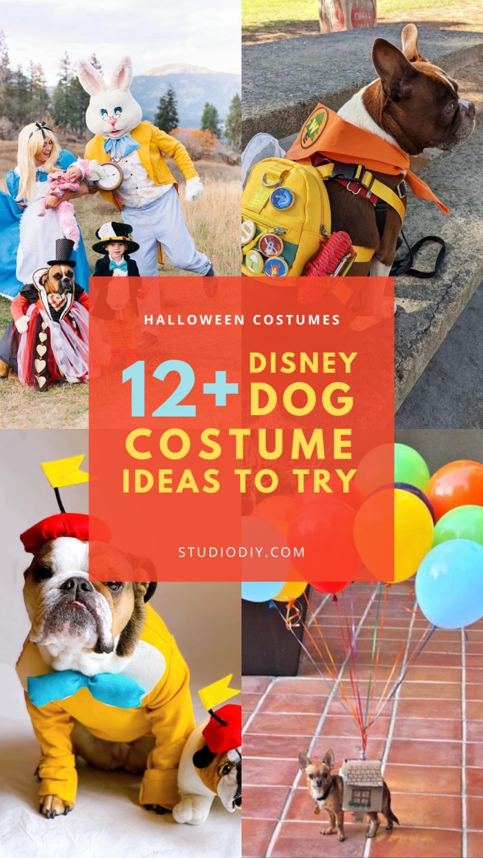 collage of disney dog costumes