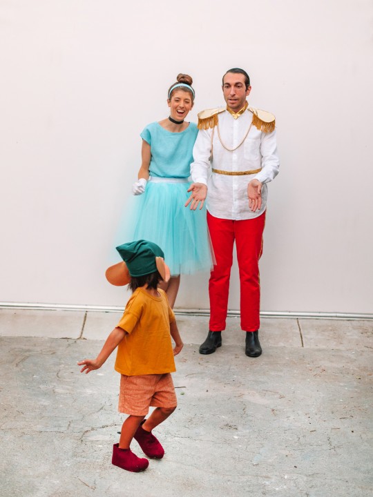 DIY Family Cinderella Costume