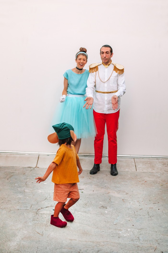 DIY Cinderella Family Costume