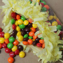 DIY Fringe Treat Bags