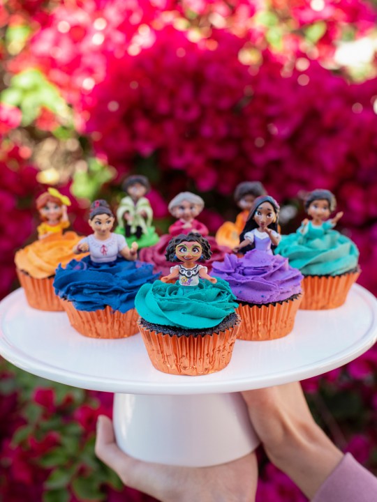 Easy Encanto Cupcakes