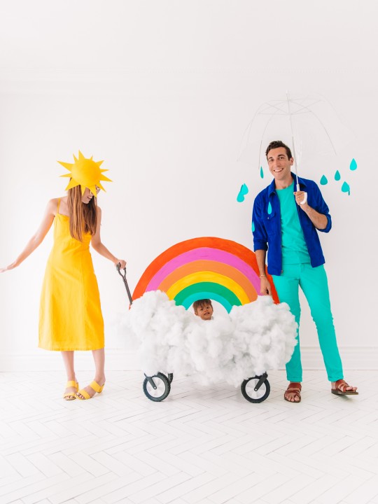 DIY Family Weather Costume