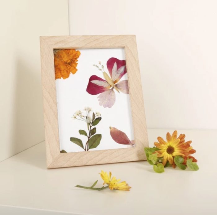 Pressed flowers in a frame