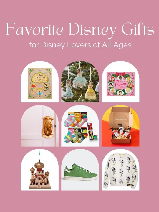 The Coolest Gifts for Disney Lovers