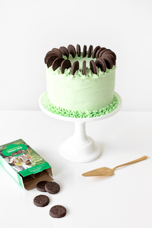 Thin Mint Cake | studiodiy.com