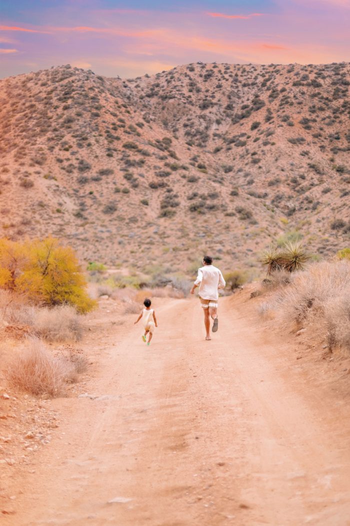 Yucca Valley Desert