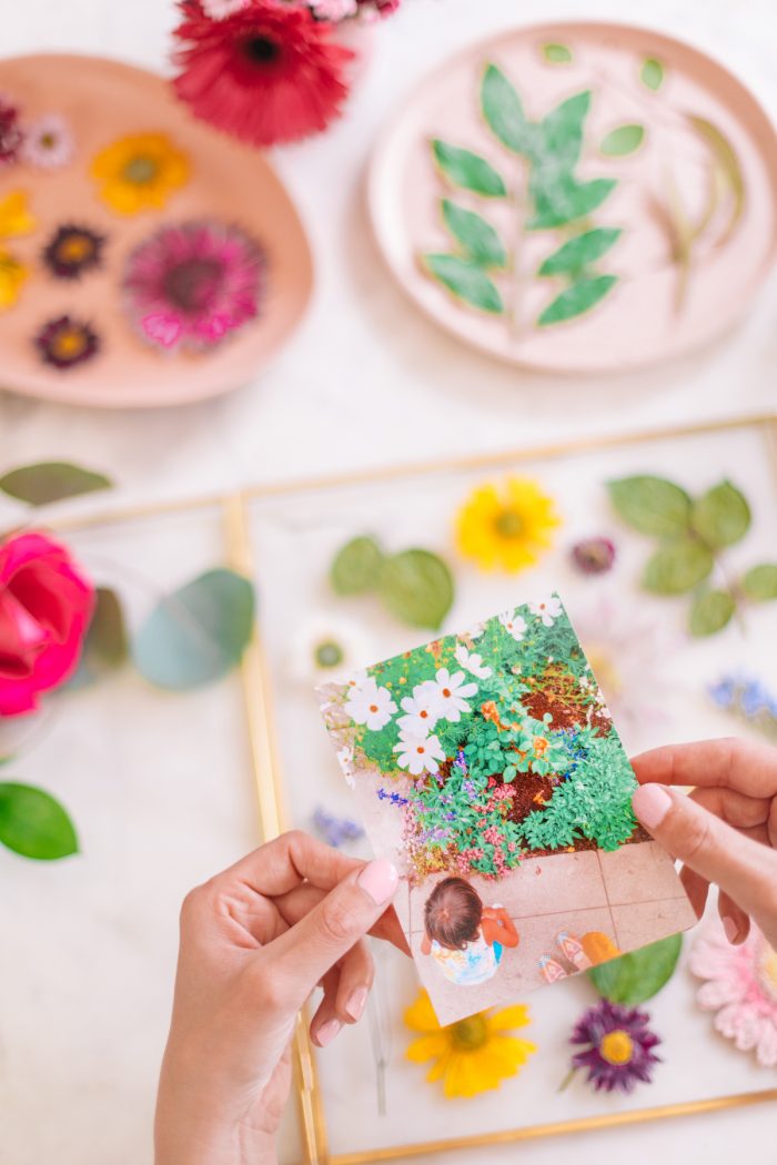 Adding Photo to Pressed Flower Art