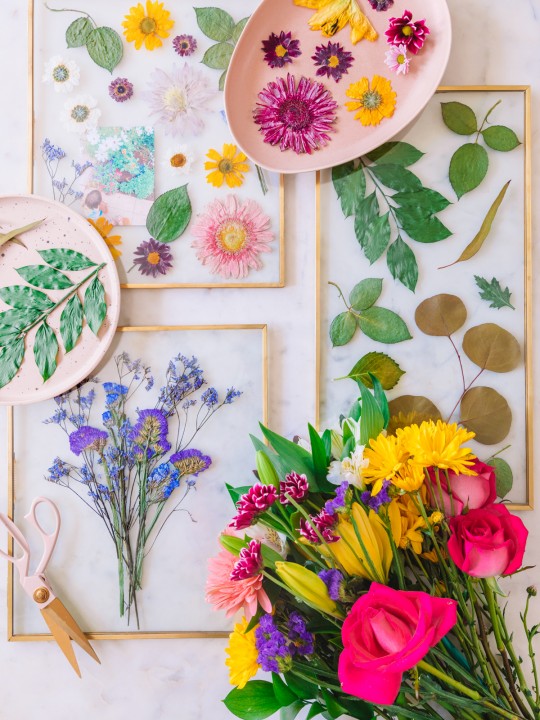 How To Press Flowers in 2 Minutes or Less! (+ DIY Pressed Flower Keepsake Frames)