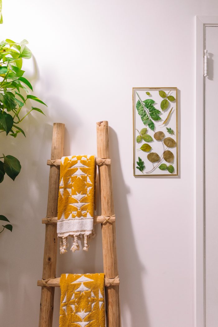 Pressed Botanical Art Hanging on Wall