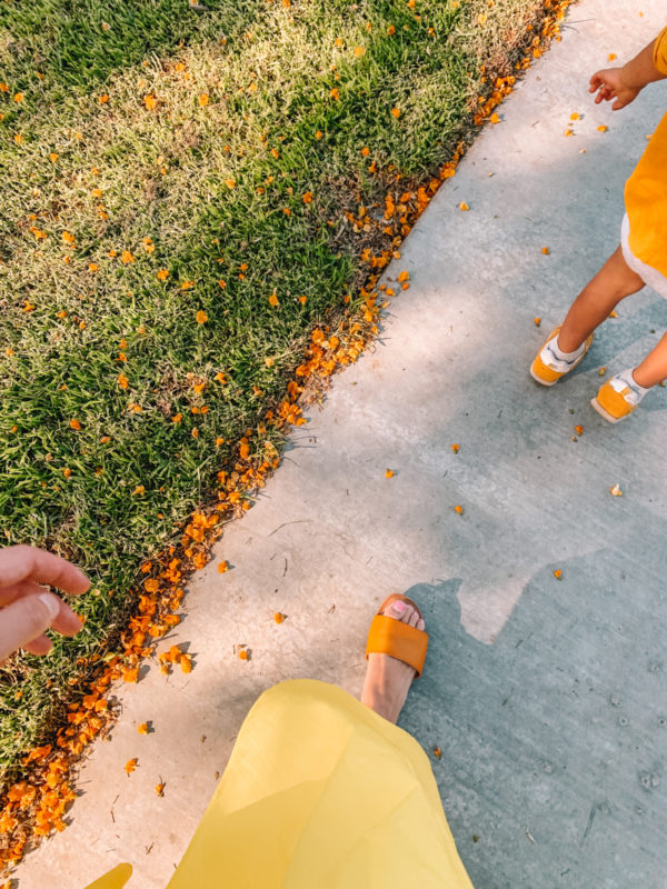 Flowers on the ground