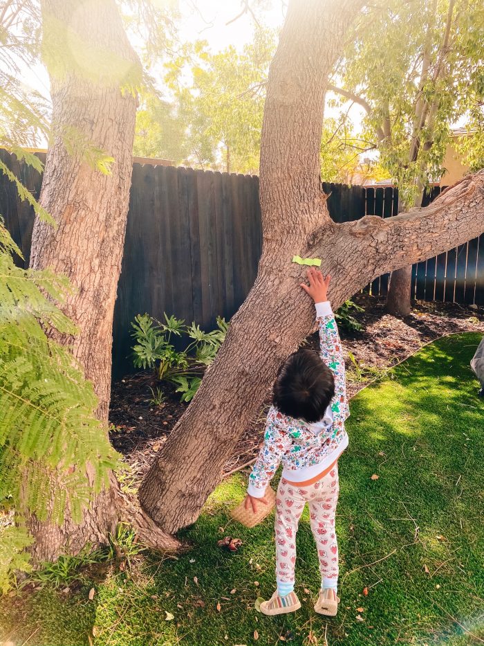 Toddler Paper Caterpillar Hunt